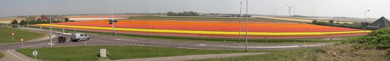Panorama Petten.jpg